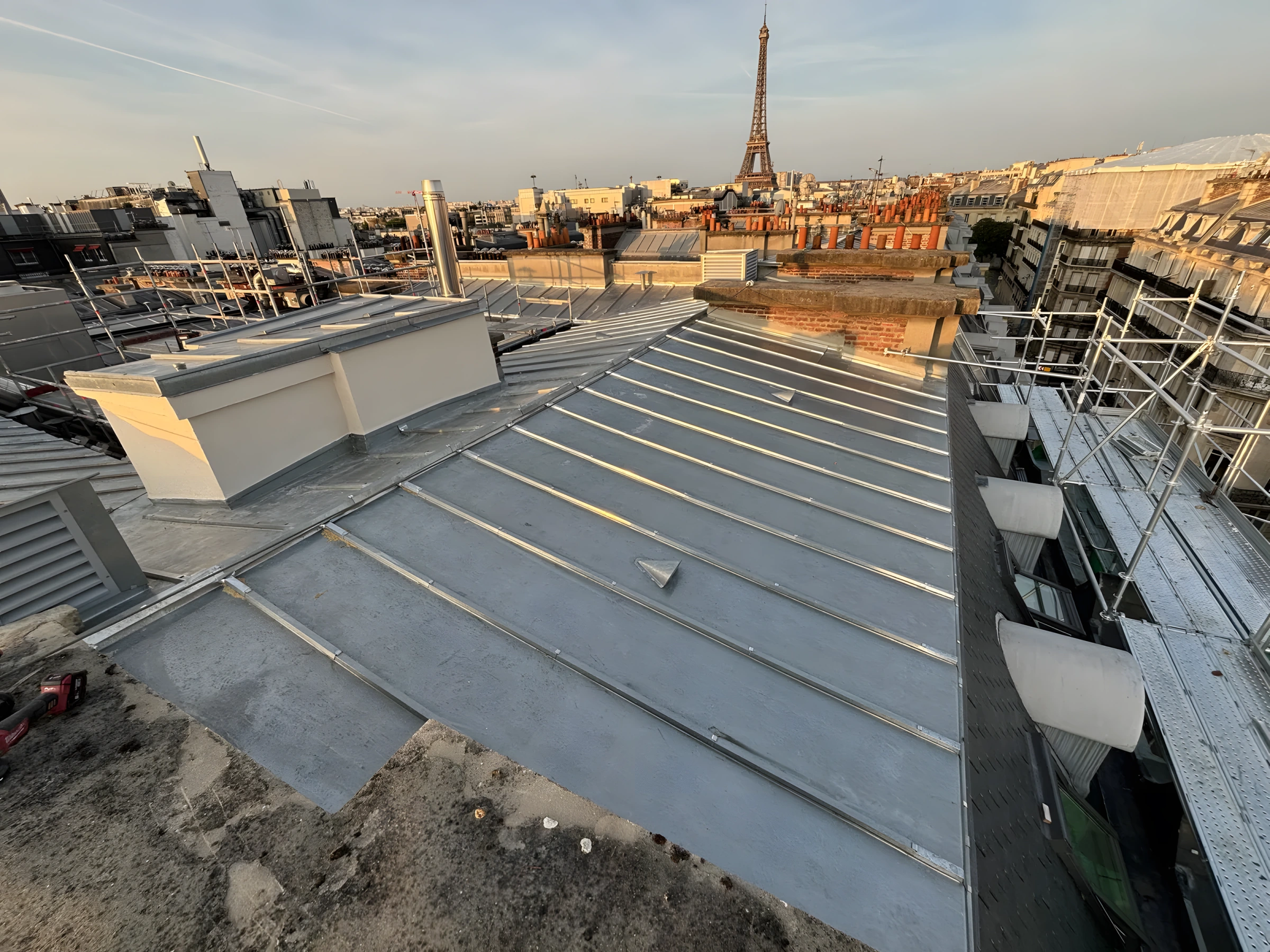 Médaille d'or MAF — Matthieu Vion